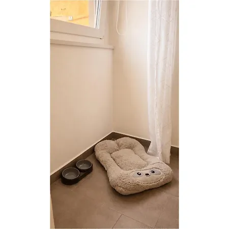 Apartament App Aurum